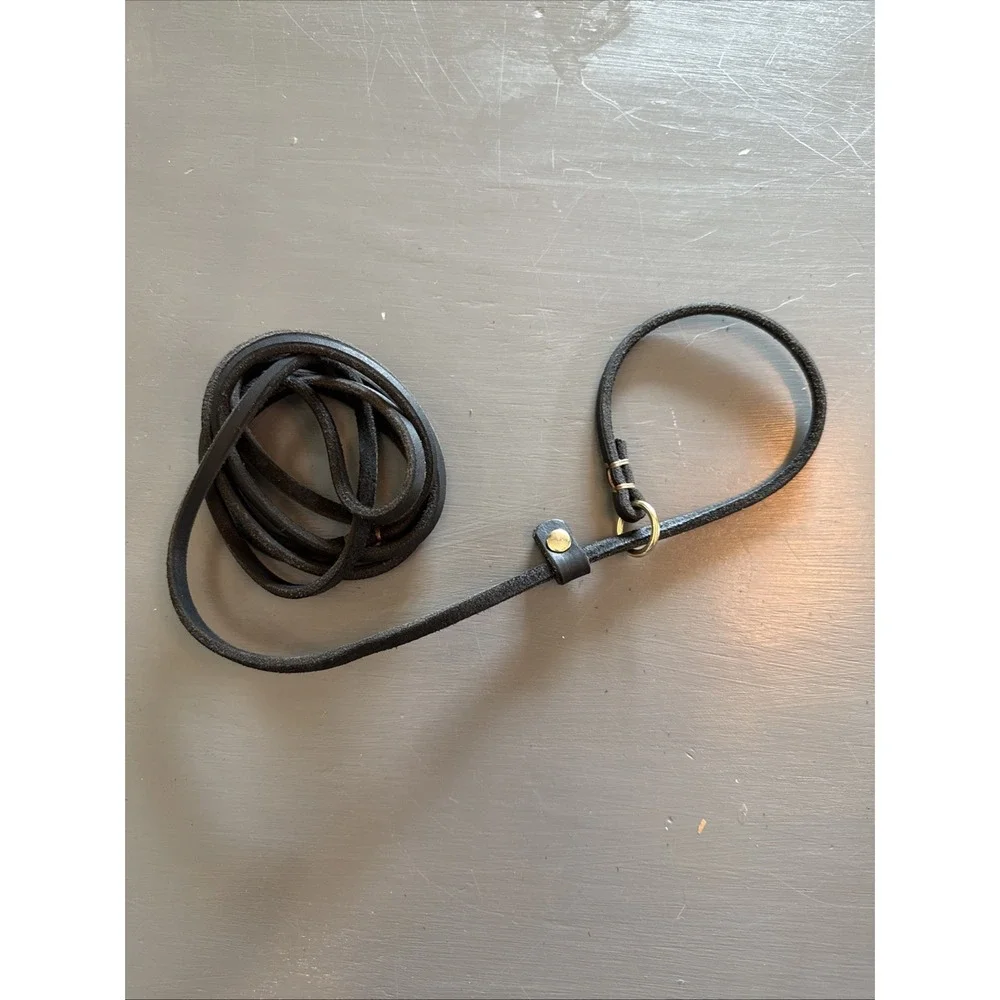 Leather Slip Lead Small Dog Leash 69